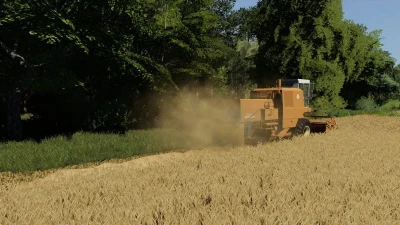 Dense grain texture v1.0.0.0