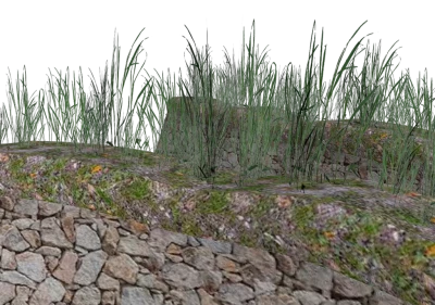 Dry Stone Wall v1.0