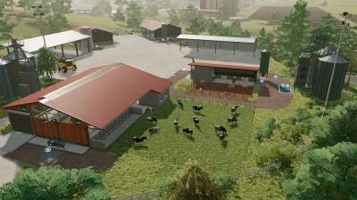 Erlengrat map Savegame and mods by SkayRus v1.0.0.0