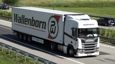 Combo skin Wallenborn v1.0