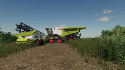 Lizard Durus 60ft v1.0.0.0