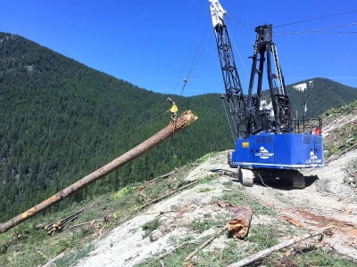 LOG CHAMP 650 YADERS v1.0.0.0