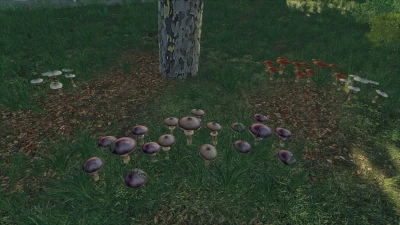 Mushrooms v1.0.0.0