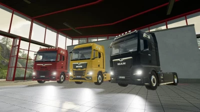 MAN TGX 2020 v1.2.0.0