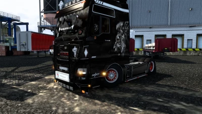 MAN TGX Euro6 Lion King skin v1.0