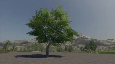 Maple Tree Passive Income v1.0.0.0