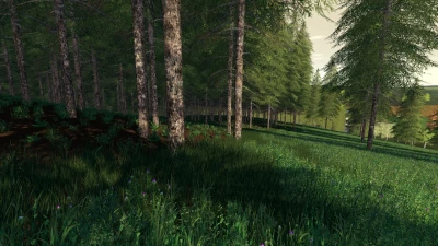 Midtown USA 4X v2.0.0.0