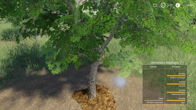 PACK OLIVE TREE v1.5.0.0