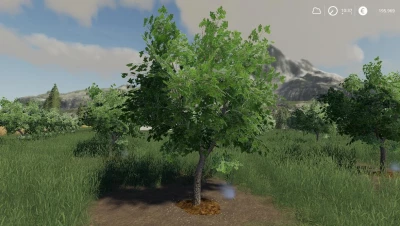 PACK OLIVE TREE v1.5.0.0