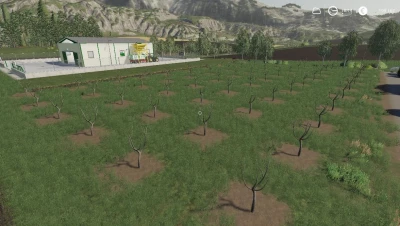 PACK OLIVE TREE v1.5.0.0