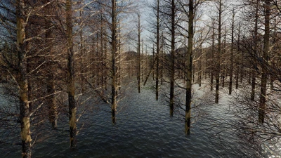 Ultimate Logging v2.0.0.0