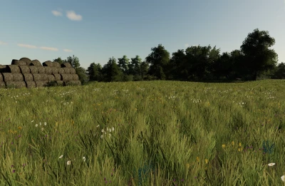 Erlengrat Grass v1.0.0.0