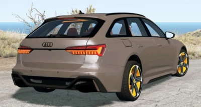 AUDI RS 6 AVANT (C8) 2019 v2.0
