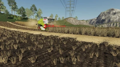 Schwarzer Emmer Foliage v1.0.0.0