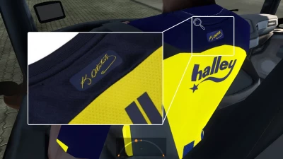 Fenerbahce 2022 Driver Skin MLT v0.1