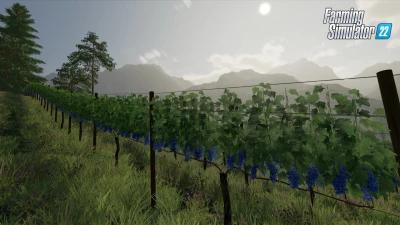 New Crops in FS22: Video presentation + screenshots #1