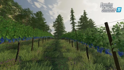 New Crops in FS22: Video presentation + screenshots #1