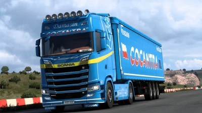 Scania S Damasin skin v1.0