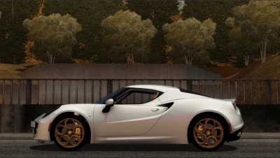 2013 Alfa Romeo 4C 1.5.9 - 1.5.9.2