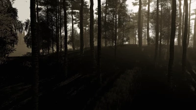 FS19 Osiek (ready seven farms) v2.2.0.0