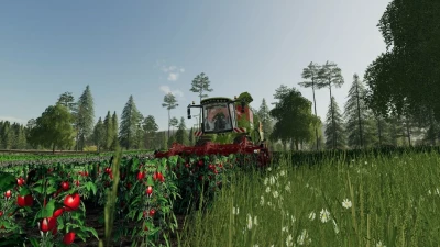 Old Kiwi Farm v1.0.0.0