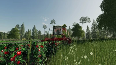 Old Kiwi Farm v1.1.0.0