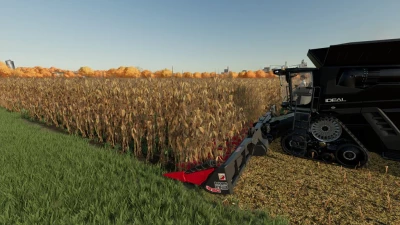 Capello Quasar HS16 v1.0.0.0