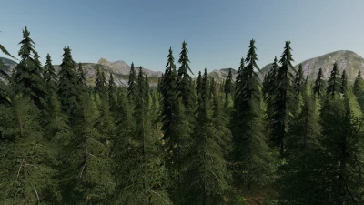 Forest Valley v1.0.0.0