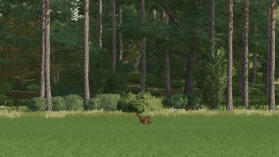 FS22 Goliszew v1.0.0.0