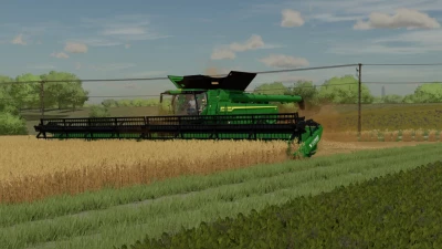 Lizard Durus 60ft v1.0.0.0