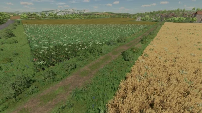 Beyleron Farming Multi Fruit Map V2