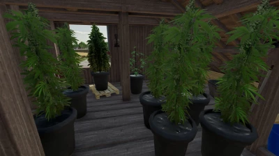 FS22 Cannabis Plants Pack v1.0.0.0
