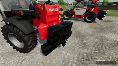FS22 LIZARD TT AND WR WEIGHT V2