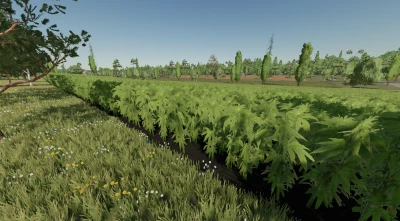 Across The Ditch v1.0