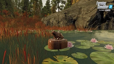 Collectibles & Points of Interest in Silverrun Forest v1.0