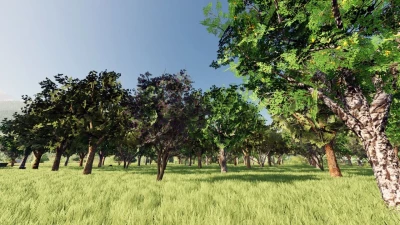 Fruit Orchard v1.0.0.0