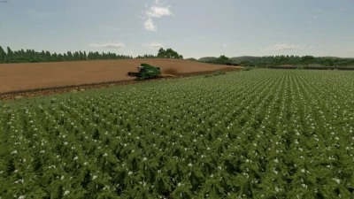 Hobo's Hollow 4x v1.0.0.0