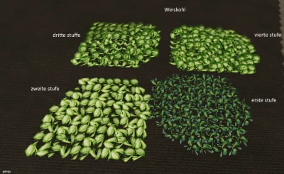 Multifruit for installation v1.0.0.0