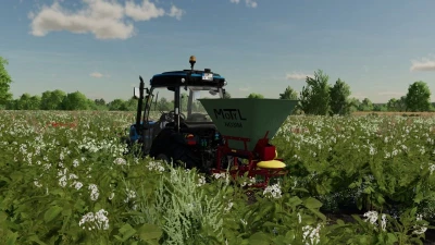 Motyl NO31M v1.0.0.0