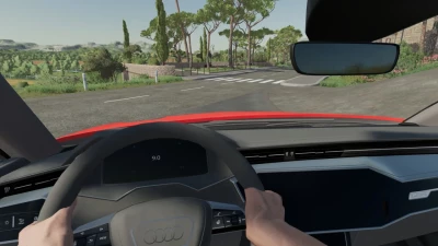 Audi RS6 Avant C8 v2.0.0.0