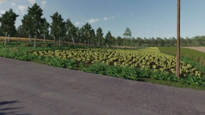 FS19 DOLINA v1.0.0.0