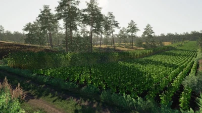FS19 DOLINA v1.0.0.0
