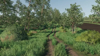 FS19 DOLINA v1.0.0.0