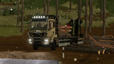 MAN TGS Shortwood v1.0.0.1