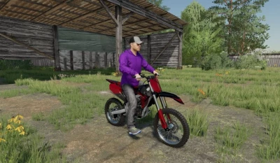 Yamaha YZ 250 v1.0.0.0