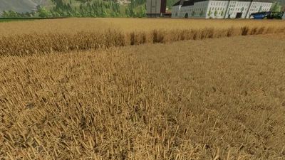 Better stubble texture v1.0.0.0