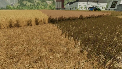 Better stubble texture v1.0.0.0