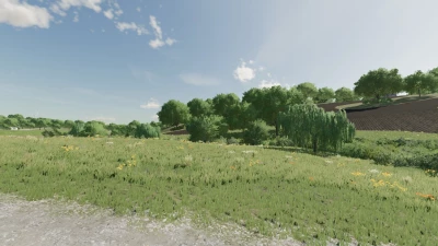 Cat 336E/336F v1.0.0.0