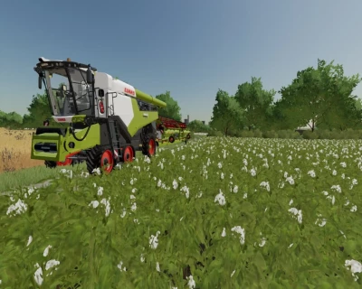 Claas Lexion 8900 Edition Mod Pack v1.0.0.1