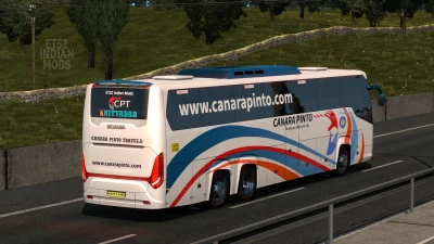 Indian Canara Pinto Skin Pack for Scania Touring v1.0